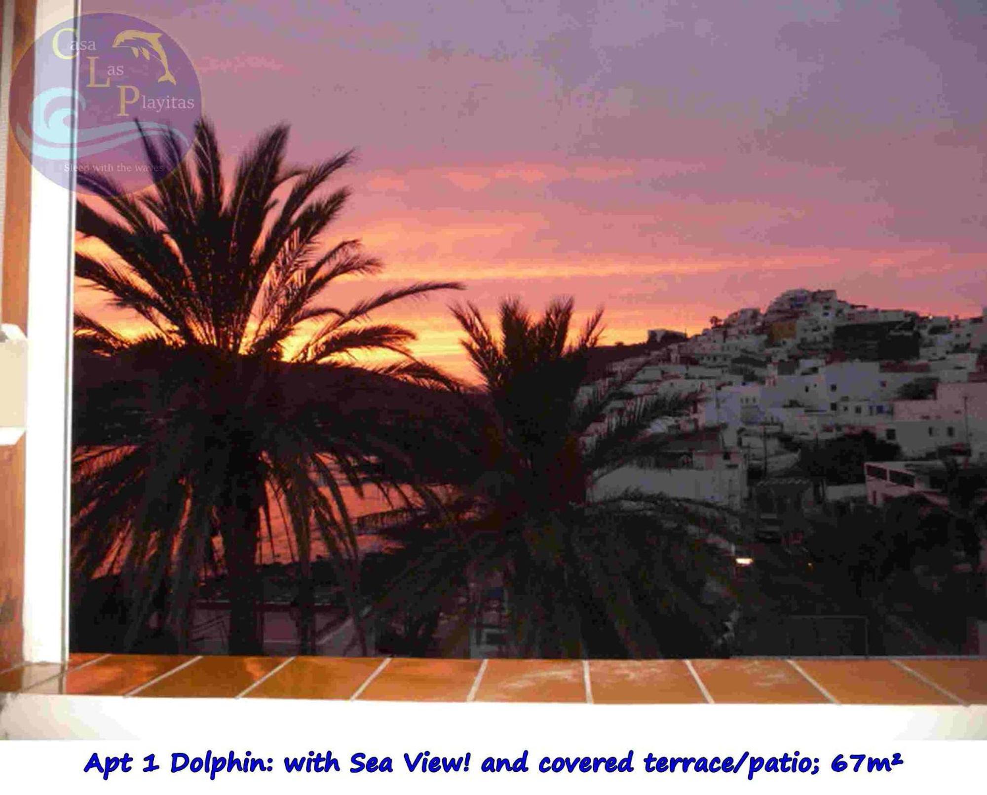 Casa Las Playitas -Clp- Best Sea View - In 1 Minute Ocean Las Playas ภายนอก รูปภาพ