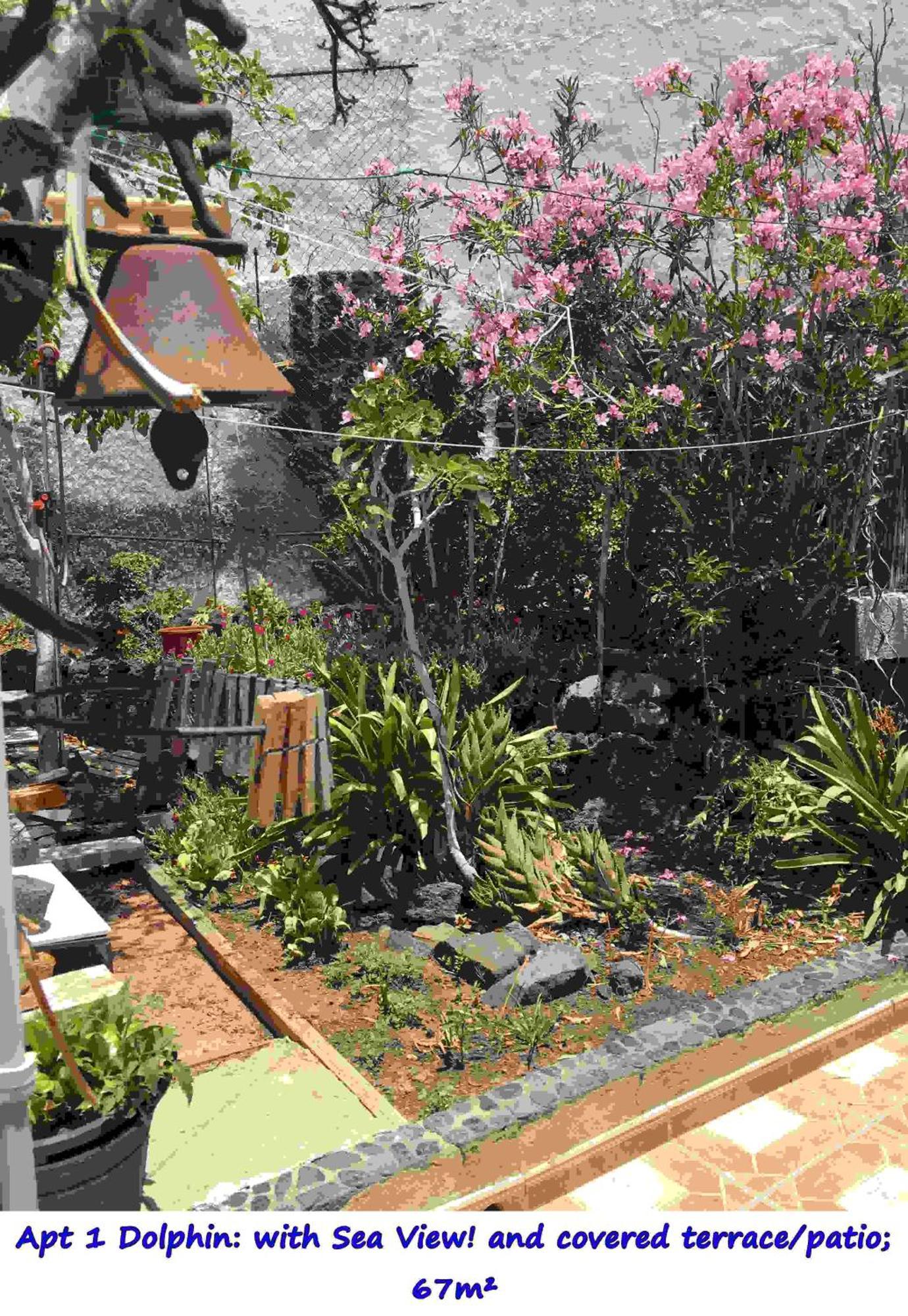 Casa Las Playitas -Clp- Best Sea View - In 1 Minute Ocean Las Playas ภายนอก รูปภาพ